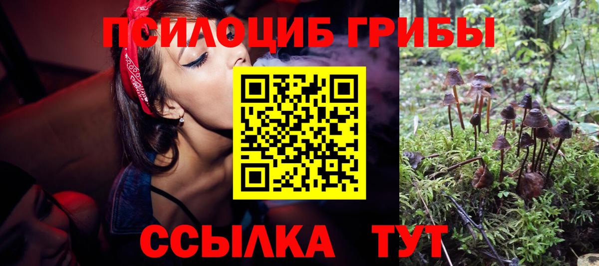 Галлюциногенные грибы GOLDEN TEACHER Углич